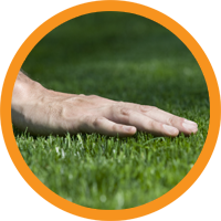 Nurmikon leikkaus - Puutarhasinko